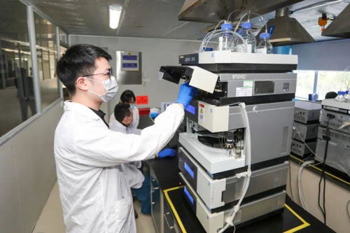 深圳要聞聚焦 技術(shù)交流助力城市創(chuàng)新發(fā)展